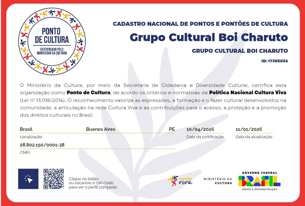 Boi Charuto de Buenos Aires conquista certificação como Ponto de Cultura e fortalece tradição popular