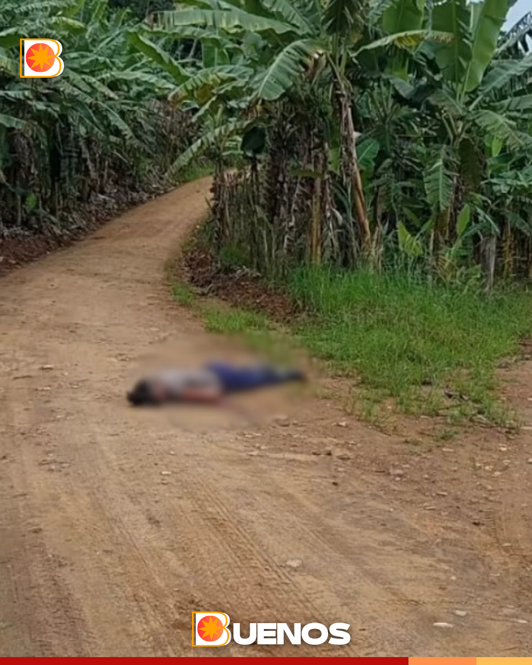 Homem é morto a tiros enquanto trabalhava em engenho na zona rural de Machados